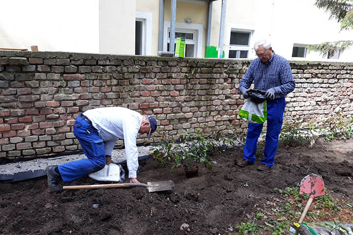 10.05.2019 Urejanje vrta Ludvik in Slavko